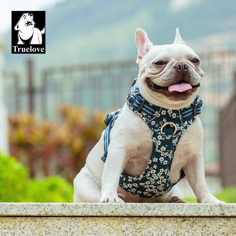 Truelove Pet Dog Chest Strap Floral Tração à prova de explosão Luz reflexiva à prova d'água u