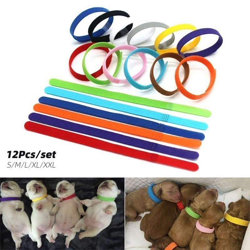 12PCS/SET Coleiras de Identificação para Filhotes e Recém-Nascidos, Colar Ajustável de Nylon e Veludo para Gatinhos, Col