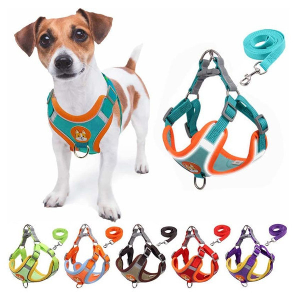 Urban Walk Set WJ Premium / Peitoral Ajustável com Guia para Cães e Gatos de Pequeno e Médio Porte