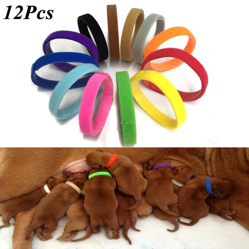 12 Pieces/set Adjustable Nylon Puppy Identification Collar Newly @ - @ Born Pet Small Dog And Cat Collar.