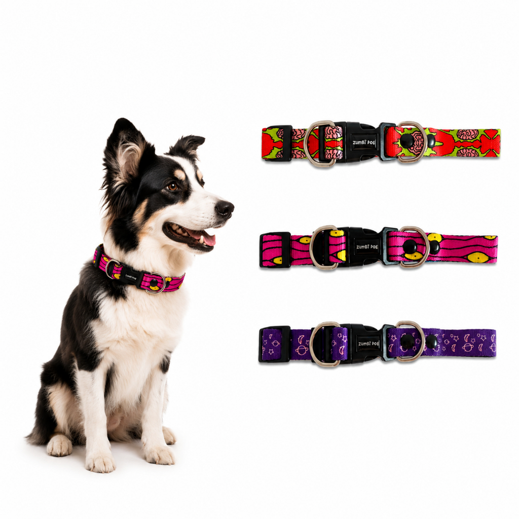 Coleira Para Cachorro Regulável Confortável Premium Pet Médio