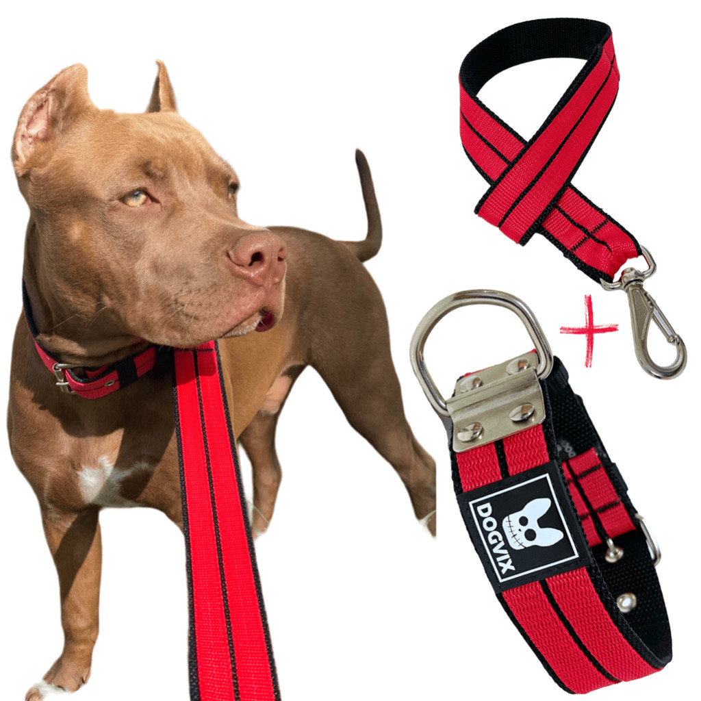 Guia  + Coleira Forte Luxo Premium Para Cachorros Cães Dog Pitbull Pet Grande Porte Dogvix