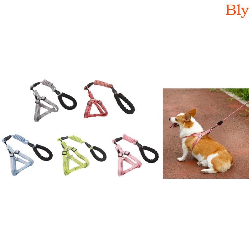 Dog Vest Training Leash Slip Belt Leash Harnesses Rope Long D Buckle Multicolore