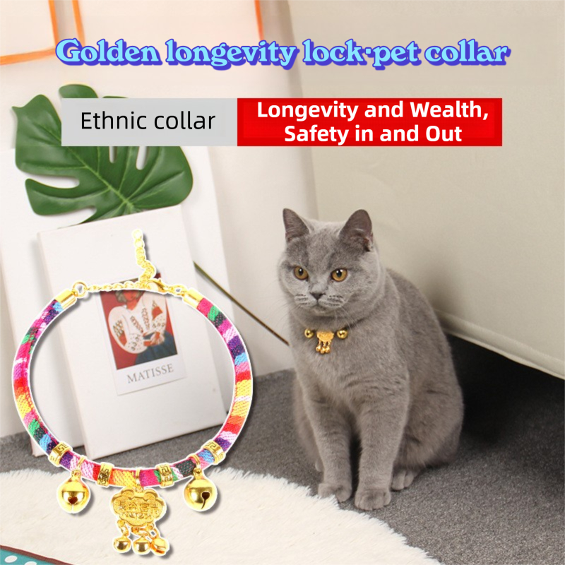 Golden Longevity Lock Bell Cat Dog Collar Cat Collar Teddy Longevity Lock Dog Chain Leash Coleira para cães Suprimentos