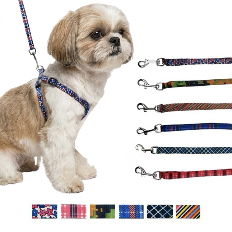 GUIA PEITORAL COLEIRA PARA CÃES PORTE PEQUENO SHITSZU MALTES YORKSHIRE LEASH