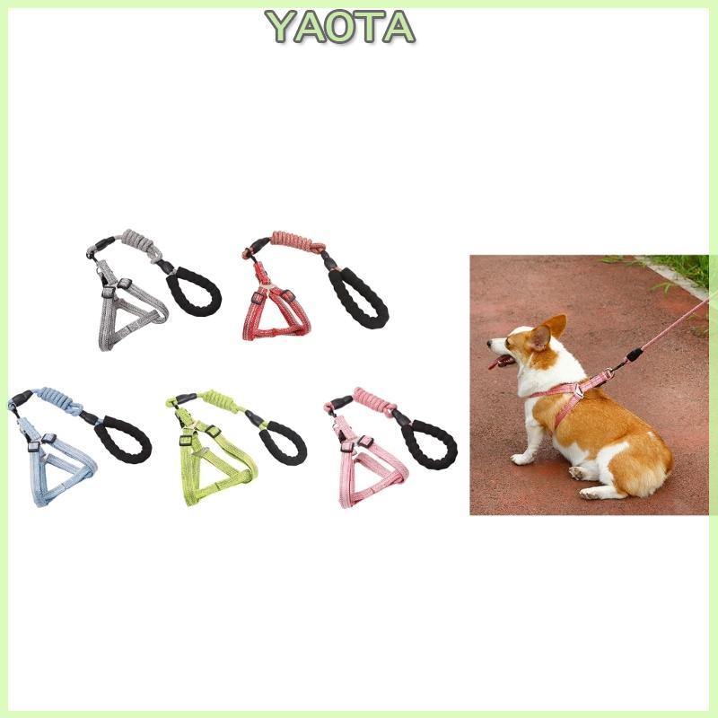 Dog Vest Training Leash Slip Belt Leash Harnesses Rope Long D Buckle Multicolore