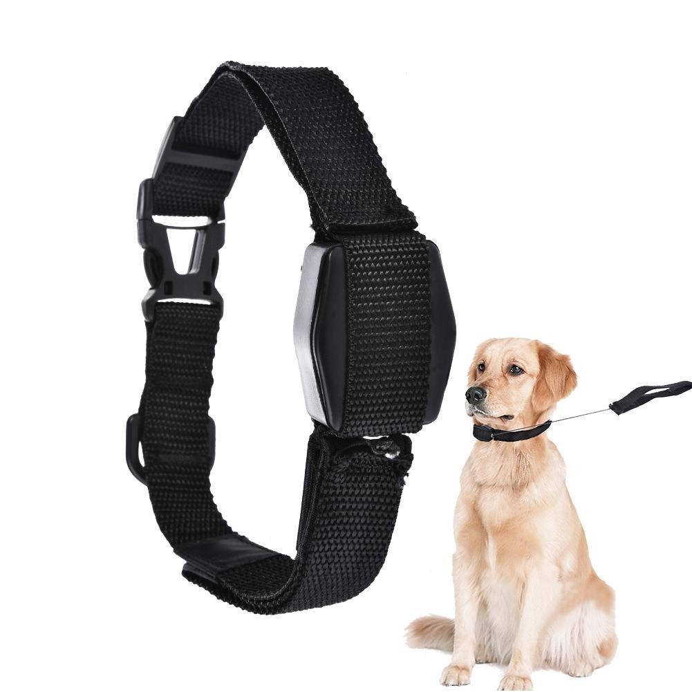 GUIA COLEIRA MAGNETICA CACHORRO 2 EM 1 RETRATIL ALCA CAES GATOS TREINAMENTO LUCKY LEASH