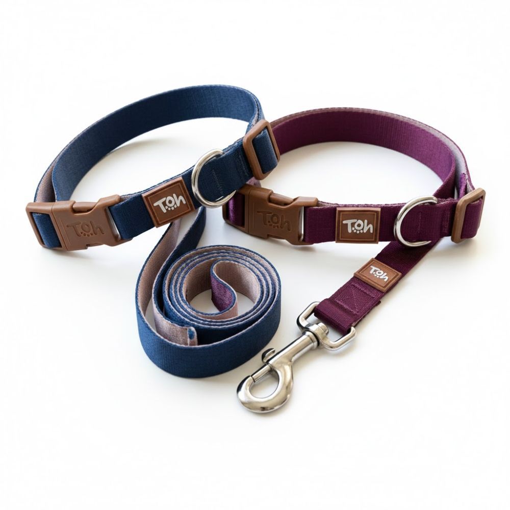 Coleira Com Guia Leash Para Cães Toh