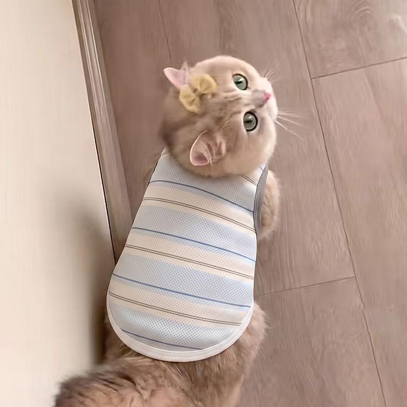 Roupas para cães Bichon Cat Muppets Teddy Small Dog Mesh Respirável Anti-Lint Colete para animais de estimação
