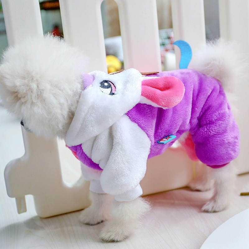 Roupas Para Cães Teddy Dog Outono Gatos Animais De Estimação