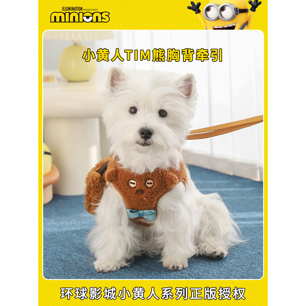 Hoopet x Minions Co-Branded Dog Leash Cinta Peitoral Pequena Coleira para Cachorro de Tamanho Médio Coleira para Cachorr