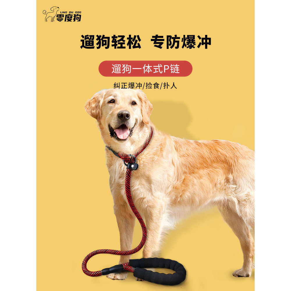 Golden Retriever Dog Walking Leash p Chain Corgi Labrador Médio Grande Treinamento de Cão À Prova de Explosão Outing Dog