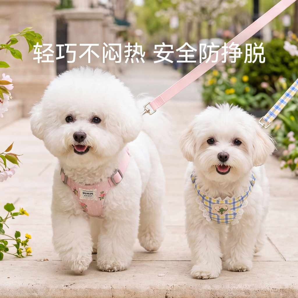Primavera Flowerland Peito Voltar Trela Pequeno Médio Cães Gatos Outing Dog Leash Dog Leash Pet Leash