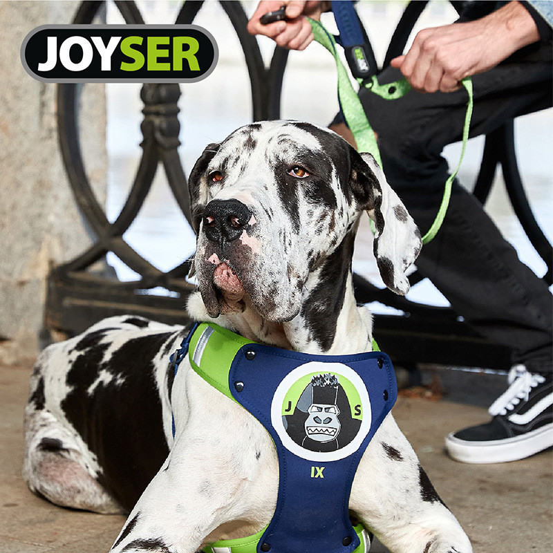 Zeex Rússia Joyser Coleira de cachorro Peito Costas Trela Outing Dog Walking Leash Substituível Pequenos Médios Grandes