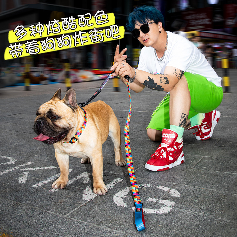 DOCO Trendy Cool Dog Leash Personagem Impresso Coleira de Nylon Trela Pequeno Cão de Tamanho Médio Francês Luta Corgi Te
