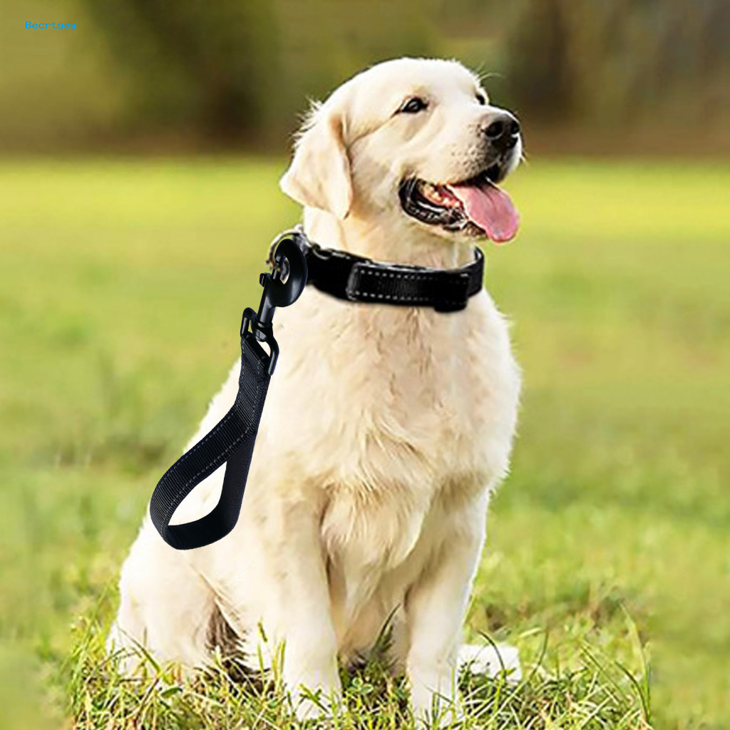 Reflective Dog Leash Heavy-duty Short 12 Traffic with Padded Handle – Heavy Duty Nylon Training  Walking Lead, Durable