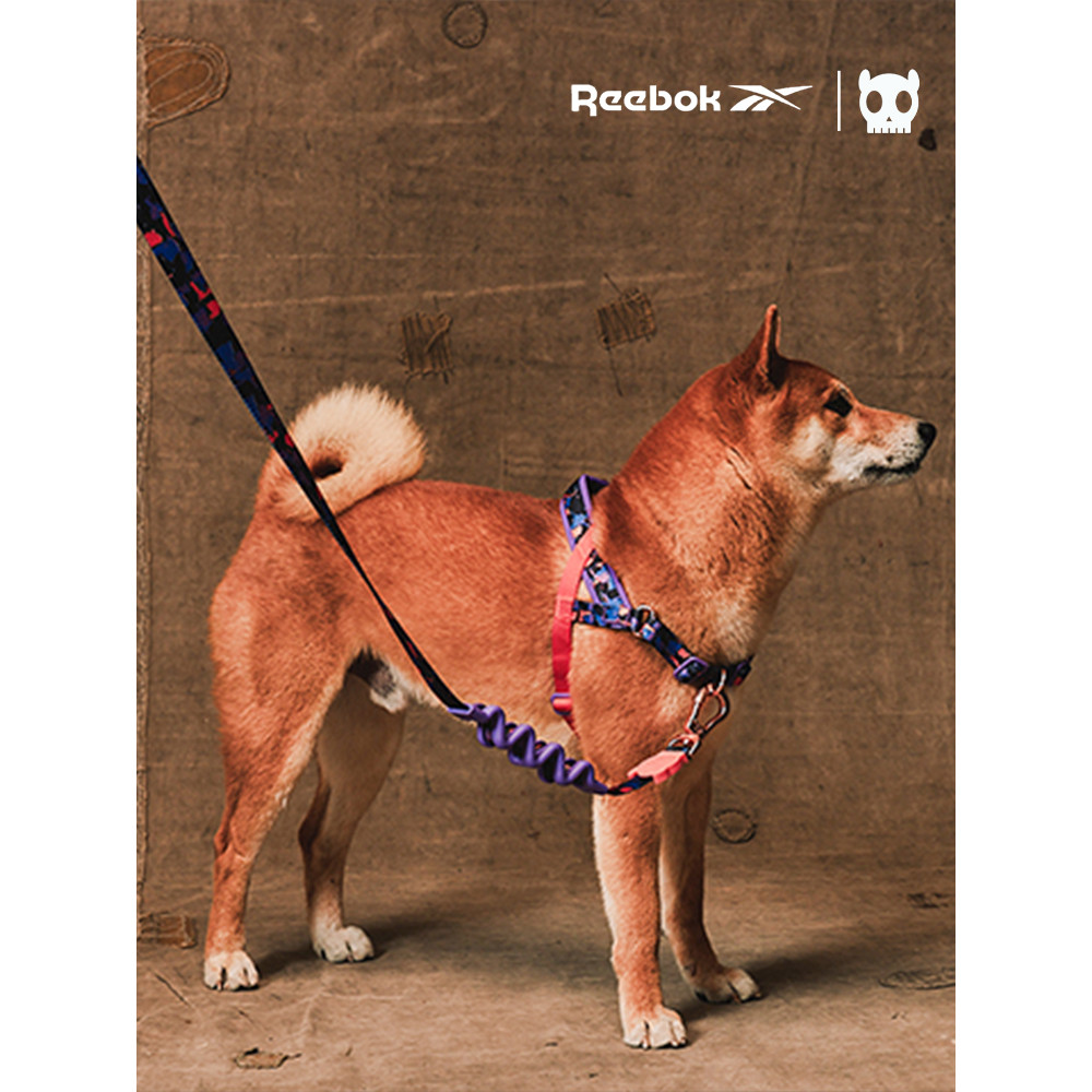 Coleira de absorção de choque QZee ZeeDog & Reebok Dog Amortecimento Handguard Dog Leash Médio Grande Dog Walking Golden