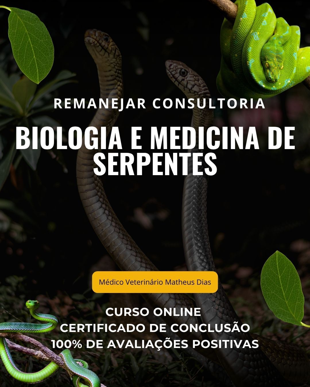 Biologia e Medicina de Serpentes
