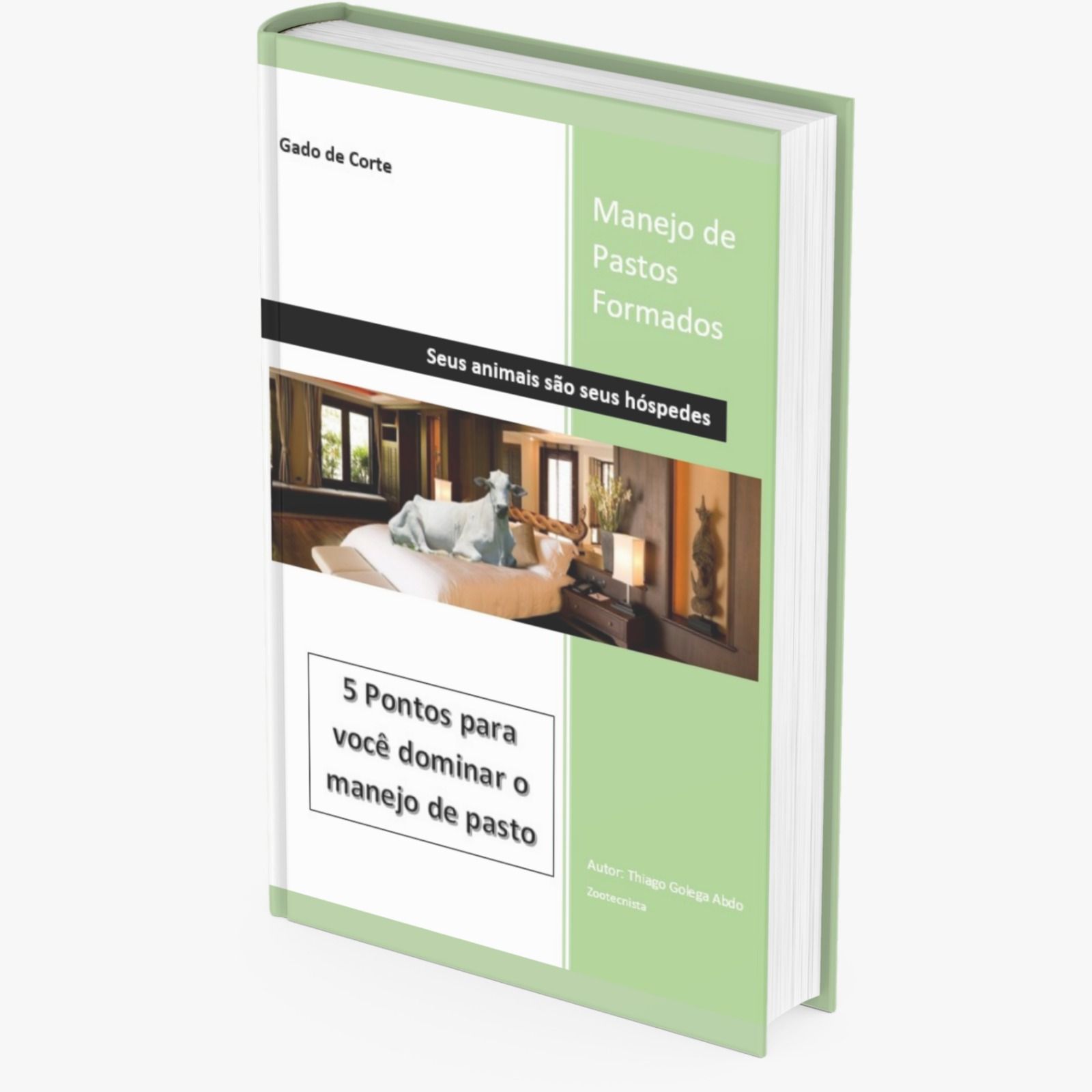 5 Pontos para você dominar o manejo de pasto