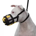 Focinheira Amorosso (Preto e Amarelo) Cachorro Dog
