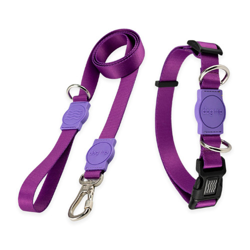 Guia e Coleira para Cachorros Dog Trip Kit - Diversas Cores