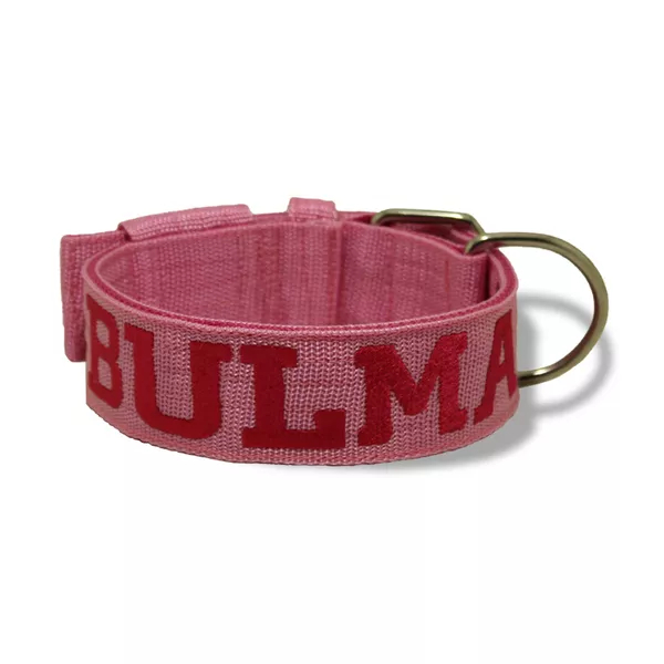 Coleira Para Cachorro Personalizada ( Rosa e Pink ) Amorosso Pets Dog