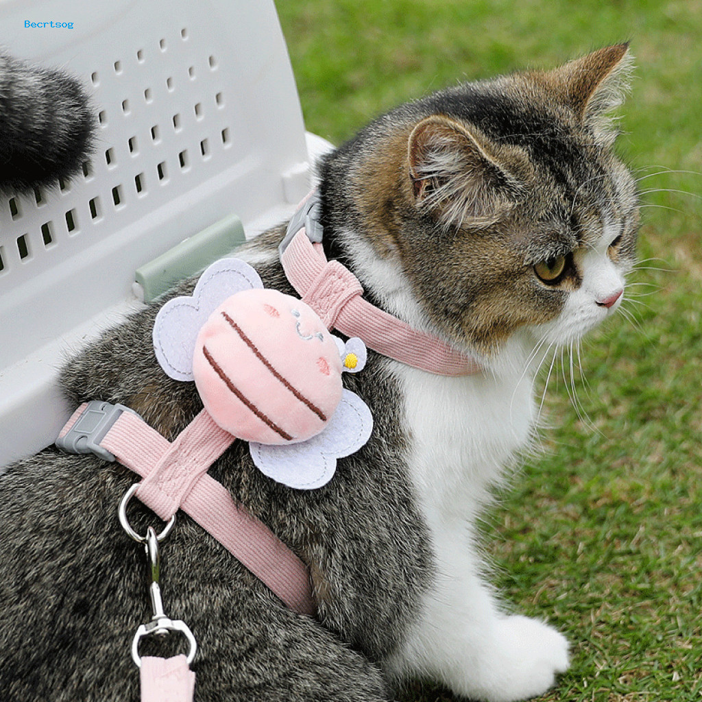 Adjustable Cat Harness Cute Bee Little with Leash – and Safe Outdoor Walking Kitten Adult for Southeast