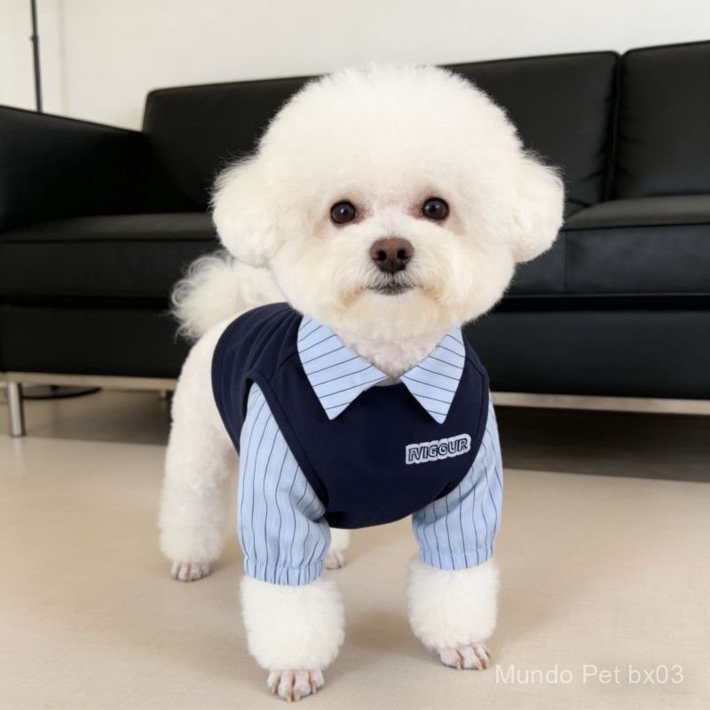 Roupa de duas peças para primavera/verão para cães de raças pequenas e médias (Shih Tzu, Teddy, Bichon Frisé, West Highl