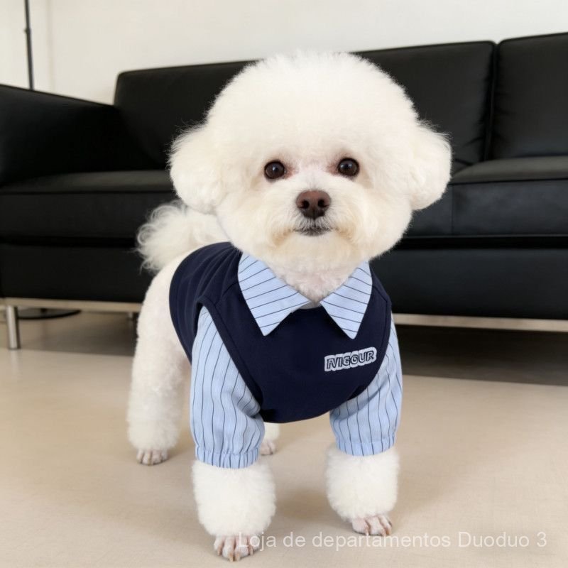 Roupa de duas peças para primavera/verão para cães de raças pequenas e médias (Shih Tzu, Teddy, Bichon Frisé, West Highl
