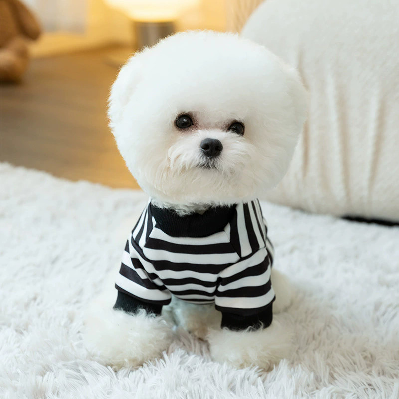 Cão tratável gato moletom primavera outono roupas Teddy pomeranian Bichon xícara de chá Junsuke veado cão Shih Tzu pomer