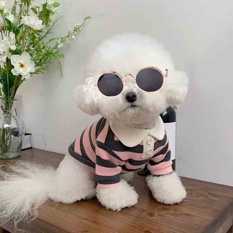 Roupa para Cães e Gatos, Camisa Polo para Gato com Listras Horizontais, Camiseta Respirável para Shih Tzu e Teddy NHPF