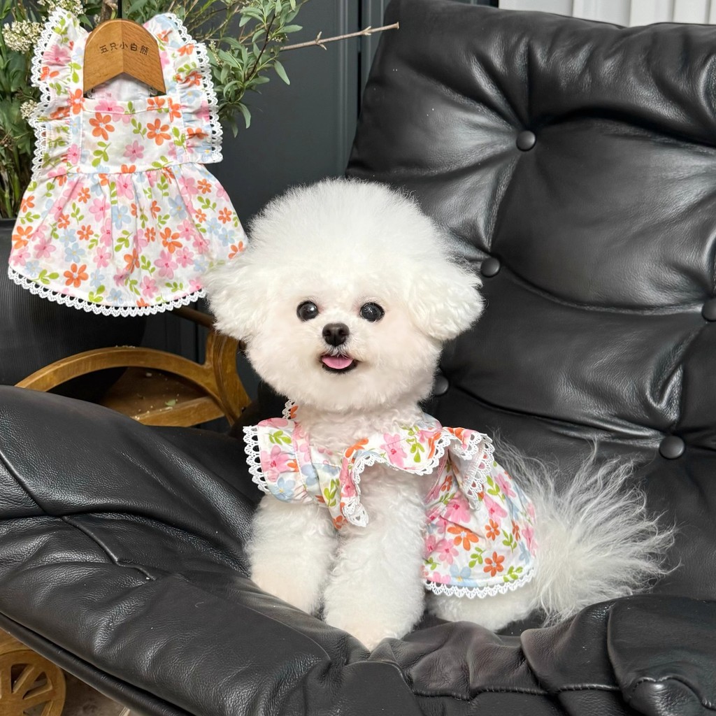 Vestido Floral estilo princesa Samoyed Corgi Labrador médio grande cão saia rosa verão roupas finas Shih Tzu Pug Teddy P