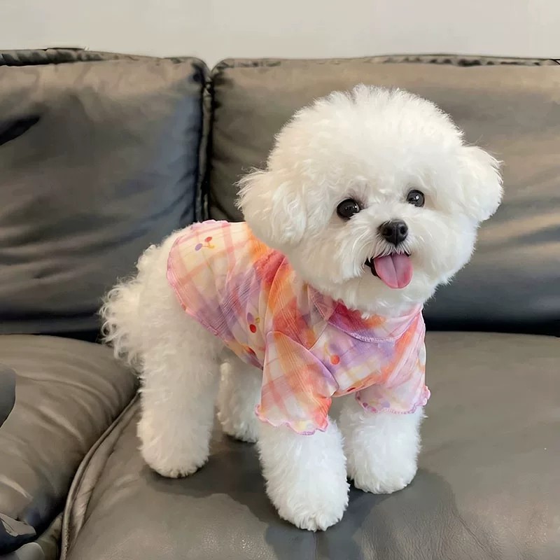 Cão de estimação verão fino bonito bolinhas arco estilingue vestido de princesa pequeno cão Bichon teddy Schnauzer Shih