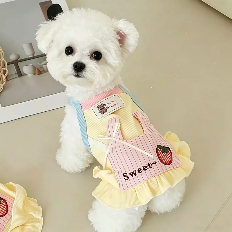 Gato de estimação roupas para cães primavera verão fino bonito colete pequeno cão Yorkshire Schnauzer Bichon teddy Shih