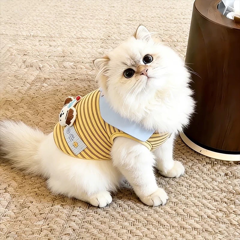 Gato de estimação roupas para cães primavera verão fino bonito colete pequeno cão Yorkshire Schnauzer Bichon teddy Shih
