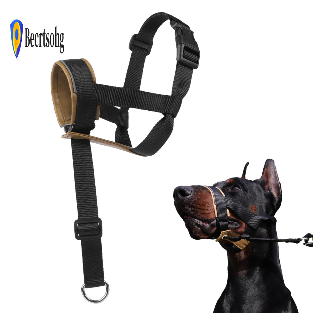Secure Fit Dog Head Harness Behavior Correction Tool Adjustable No-pull Collar with Padded Nose Band Reflective Training