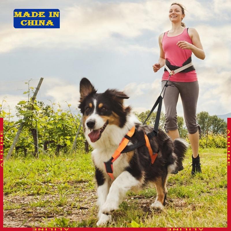Sledge Dog Harness Arnês Alça Ajustável Para Exercícios Trenó