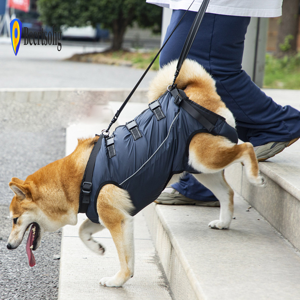 Dog Lift Harness for Elderly Dogs Arthritis Relief Vest Adjustable Comfortable Breathable Support Sling for Old Disabled