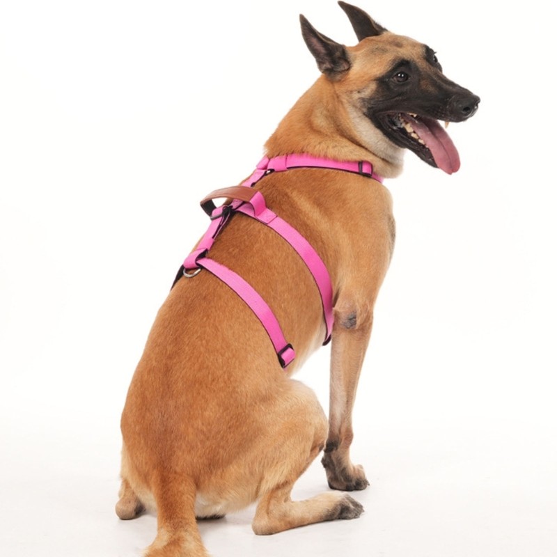 XY Dog Vest Harness Colete De Treinamento Decorativo Para Corrida E Natação Cães Pequenos Grandes