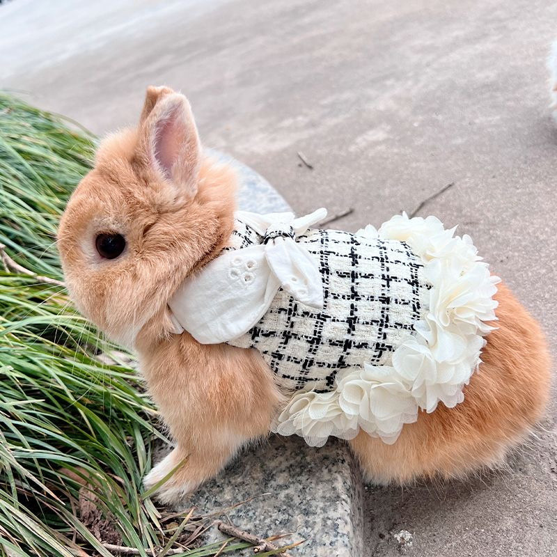 Fashionable Rabbit Guinea Pig Clothes With Harness Outdoor Pet And Leash Set For Small Animals Chinchillas Suit 0QTD RS4