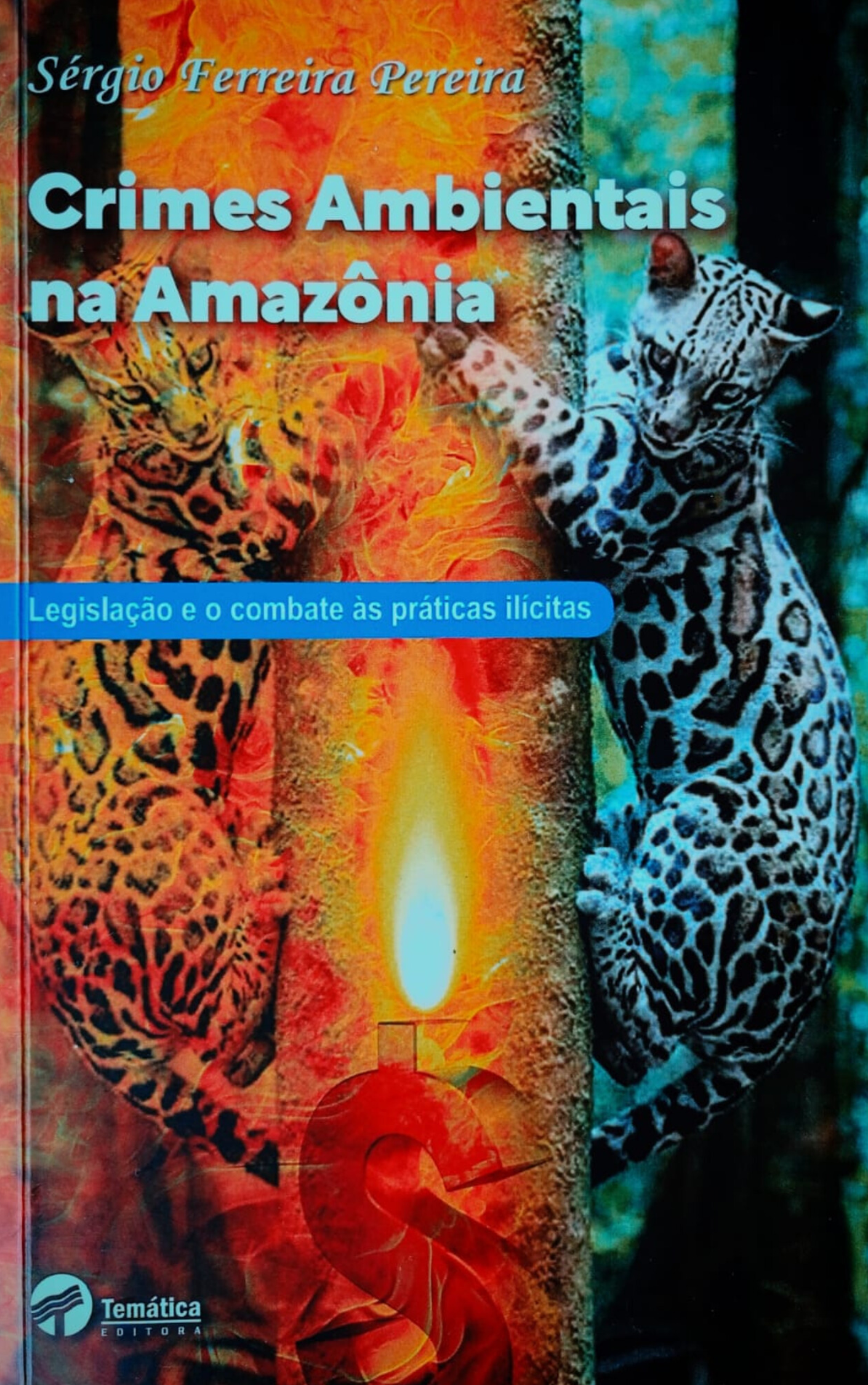 Crimes Ambientais na Amazônia; Legislação e o Combate as Práticas Ilícitas