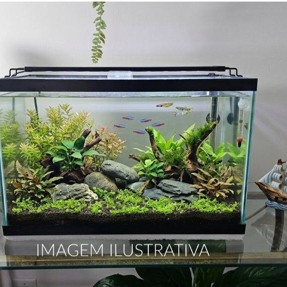 Aquário 20 Litros (40x20x25) Vidro 4mm com Tampa e Isopor Protetor super resistente