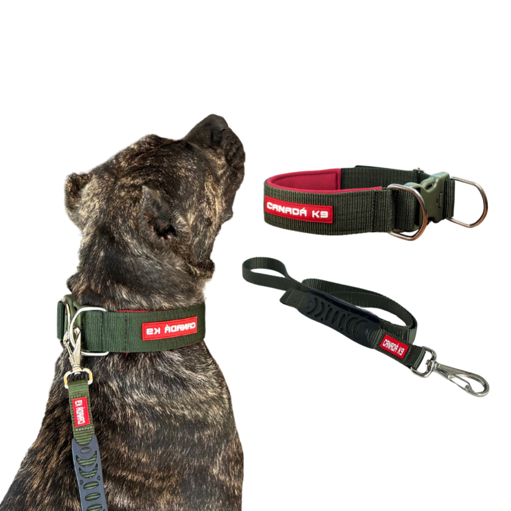 Coleira com Fecho em Nylon + Guia para Cães de Grande Porte