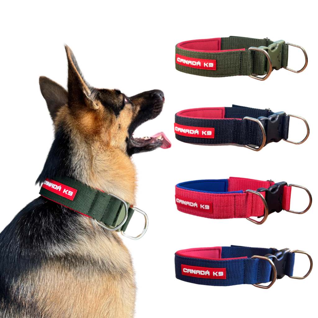 Coleira com Fecho em Nylon para Cães de Grande Porte