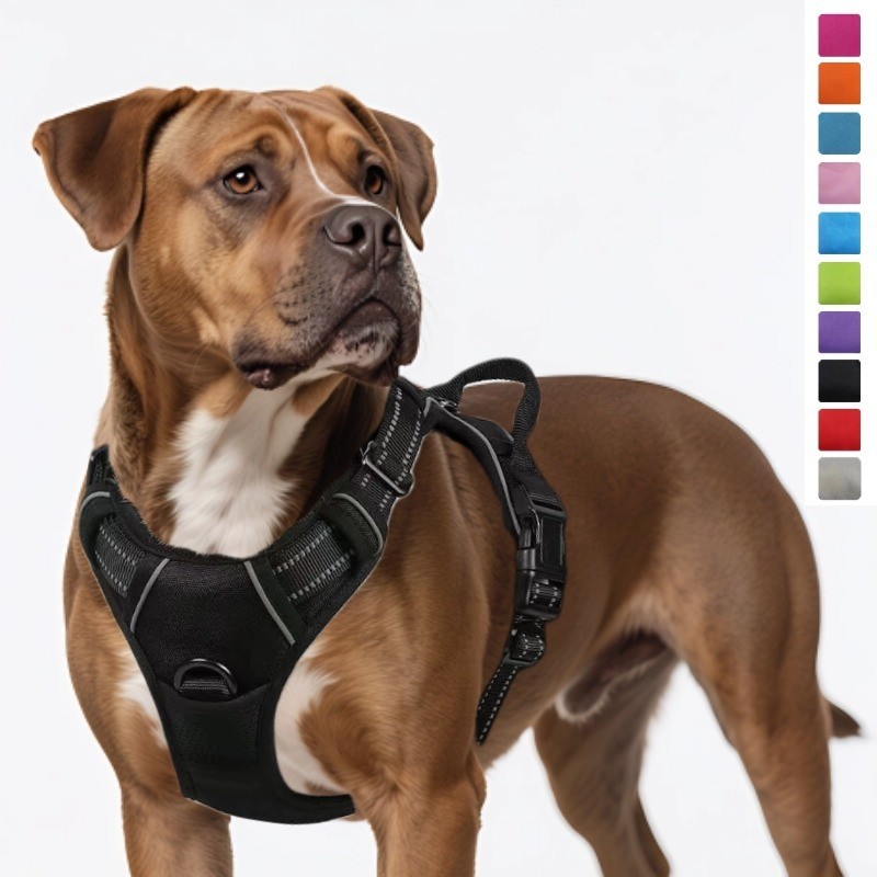 Coleira Para Cães Amazon , Animais De Estimação , Peito Traseiro De nylon , Alça Peitoral Grande , Suprimentos Atacado D