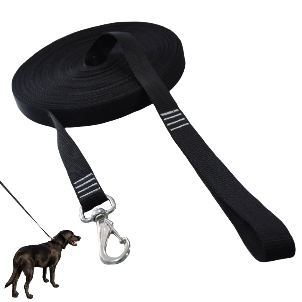Guia Longa Adestramento Cachorro 2m 5m 10m 15m 20m Nylon Resistente Passeio Treinamento Controle Pet