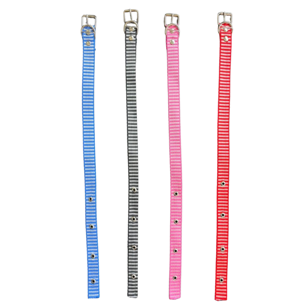 Kit Com 3 Coleiras De Nylon Bordado Para Cães De Pequeno A Medio Porte – Conforto E Estilo Pet