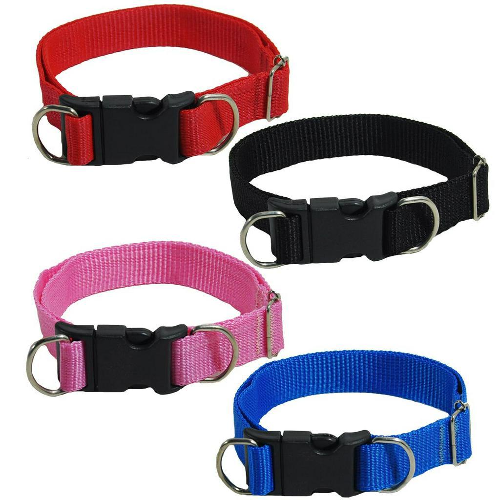 Coleira para Cachorro de Nylon Regulável P M G GG para Passeio Confortável