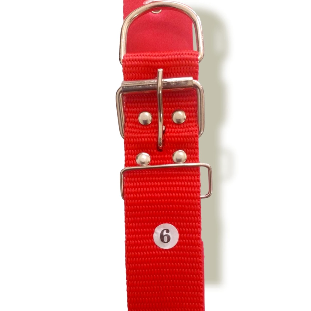 Coleira para Cães Médio e Grande | Coleira Nylon 25mm e 30mm com forro de EVA | Cães Médio Grande.
