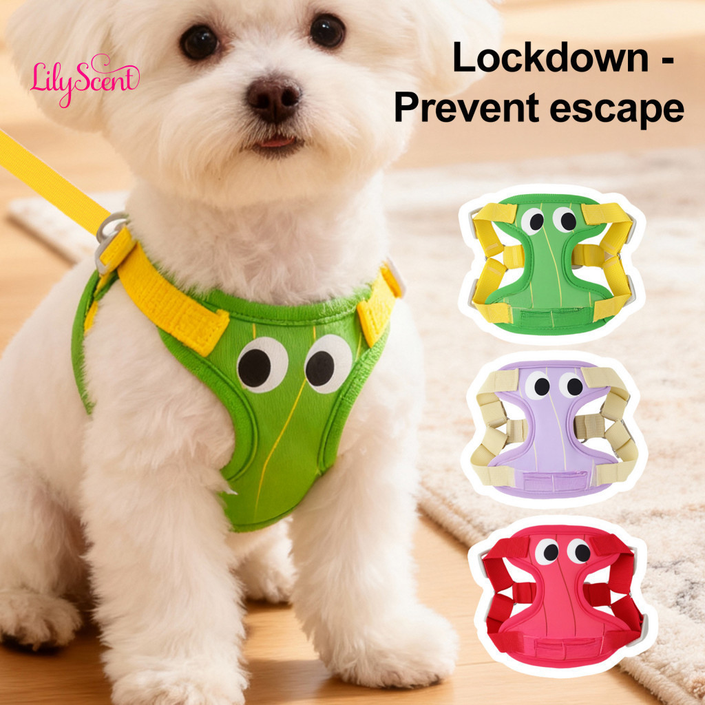 Small Dog Harness Breathable Adjustable Padded Step-in with Leash – Cute Big Eyes Design for Dogs Comfortable and for